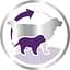 Сухой корм Royal Canin Giant Starter Mother & Babydog для щенков гигантских пород, с мясом птицы и рисом, 4 кг - миниатюра 4