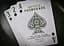 Карты игральные United States Playing Card Company Bicycle Promenade (09397) - миниатюра 8
