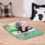 Развивающий коврик Baby Einstein 4 в 1 Busy Barnyard (17327) - миниатюра 4