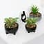 Горщик зі штучною рослиною МВМ My Home, 14 см, чорний (DH-FLOWERS-14 M GREEN/BLACK) - мініатюра 6