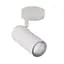Бра Candellux 91-01603 Colly - мініатюра 2