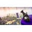 Ключ активації Microsoft Goat Simulator 3 - Multiversal Traveler's Edition: Xbox One Edition для Xbox One/Series S/X - мініатюра 2