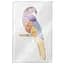 Набор для макияжа Pupa Beauty Kits Parrot Samba 14.8 r (8011607381999) - миниатюра 2