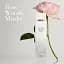 Туалетна вода для жінок Elizabeth Arden White Tea Wild Rose 50 мл - мініатюра 5