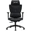 Крісло ігрове Anda Seat X-Air Size L Mesh Black (AD-WY-01-BBB) - мініатюра 1