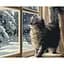 Набір для розпису номерів. "Снігопад за вікном" 40х50см KHO6550 Ідейка (4823104351412) - мініатюра 1
