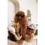 Платье Pet Fashion Amelia для собак XS2 - миниатюра 5