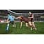 Ключ активації Microsoft Rugby League Live 4 для Xbox One/Series - мініатюра 7