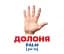 Будова тіла. Геній з пелюшок - мініатюра 3