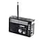 Радиоприемник Golon RX-382 черный портативный FM/AM/SW с USB SD и аккумулятором - миниатюра 2