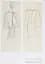 Sheer. Yves Saint Laurent: The Diaphanous Creations of Yves Saint - миниатюра 4