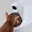 Смарт-годівниця Petkit YumShare Solo with Camera (P571) - мініатюра 6