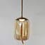 Подвесной светильник Friendlylight Sunshine PD B FL3099 - миниатюра 1