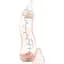 Антиколиковая бутылочка для кормления Difrax S-bottle Natural Blossom с силиконовой соской 250 мл (706 Blossom) - миниатюра 1