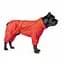 Комбінезон Pet Fashion Cold для собак, розмір ML, червоний - мініатюра 4