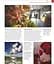 Photography. A Visual Companion - миниатюра 11