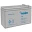 Батарея до ДБЖ Merlion 12V-9.5Ah (GP1295F2) - мініатюра 1