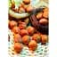 Саженец Agro-Market Фундук Сирена (краснолистный, средний срок созревания, перекрестное опыление, сажать по 2 шт) (23536) 1 шт. в упаковке - миниатюра 2
