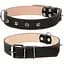 Нашийник для собак Collar подвійний з шипами (4820082492021) - мініатюра 1