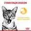 Вологий корм для дорослих котів Royal Canin Taste Jelly шматочки в желе 1.02 (12 шт. х 85 г) - мініатюра 5