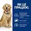 Сухий корм Hill’s Prescription Diet j/d для собак догляд за суглобами з куркою 2 кг - мініатюра 7