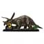 3D пазли Трицератопс - Парк Юрського Періоду Jurassic World Dominion Revell 00242 - мініатюра 2