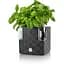 Кашпо Plastkon Cobble Flower Lover із системою автополиву 14x14x14 см антрацит - мініатюра 2