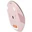 Компьютерная мышка A4Tech FB10C Wireless/Bluetooth Pink (4711421967457) - миниатюра 9