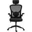 Крісло ігрове Sandberg ErgoFusion Gaming Chair Basic чорне - мініатюра 1