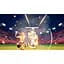 Ключ активації Microsoft AEW: Fight Forever для Xbox One/Series S/X - мініатюра 12