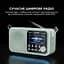Радиоприемник Sharp DR-P420 Green - миниатюра 12