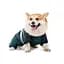 Комбінезон Pet Fashion Den для собак S2 такса - мініатюра 3