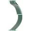Ремешок Apple Watch Nylon 42/44/45/46/49 мм Spearmint - миниатюра 1