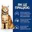 Сухий корм Hill's Prescription Diet c/d для котів для догляду за сечовидільною системою, з куркою, 3 кг - мініатюра 4