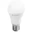 Світлодіодна лампа Enerlight A60, 10W, 3000K, E27 (A60E2710SMDWFR) - мініатюра 2