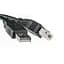 Кабель для принтера PowerPlant USB 2.0 AM/BM 3.0m (KD00AS1221) - миниатюра 1