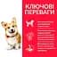 Сухий корм Hill’s SP Adult Small&Mini для дорослих собак малих і мін порід з ягням і рисом 1.5 кг - мініатюра 2