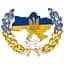 Брошка пшениця Жовто-блакитна колоски колосок символ України - мініатюра 1