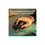 Мишка Logitech MX Master 3S Performance Bluetooth Graphite (910-007501) - мініатюра 2