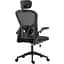 Крісло ігрове Sandberg ErgoFusion Gaming Chair Basic, чорне (640-97) - мініатюра 7