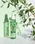 Питательный спрей Garnier Bio для сухой и чувствительной кожи лица с экстрактом арганы, 150 мл (C6308600) - миниатюра 2