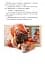 Банда піратів. Історія з діамантом - мініатюра 12