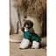 Рубашка Pet Fashion Seaman для собак XS - миниатюра 8