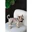 Шорти Pet Fashion Leo для собак XХS - мініатюра 8