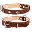 Нашийник для собак Collar подвійний з шипами (4820082496524) - мініатюра 1