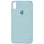 Чехол Silicone Case Full Protective (AA) для Apple iPhone X / XS (5.8) Бирюзовый / Turquoise - миниатюра 1