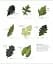 The Science of Plants - мініатюра 8