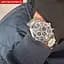 Годинник Lee Cooper England Silver - мініатюра 10