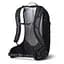 Рюкзак Gregory Biosync-Miko 20 Black (1053-145275 9974) - миниатюра 2