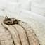 Постільна білизна з покривалом Zebra Casa Paloma Beige Zebra pbe0051525 - мініатюра 2